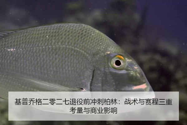 基普乔格二零二七退役前冲刺柏林：战术与赛程三重考量与商业影响