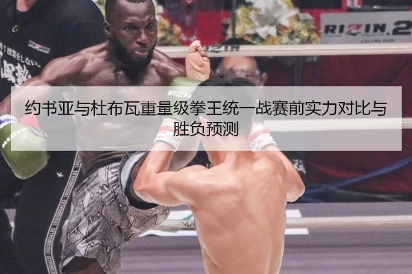 约书亚与杜布瓦重量级拳王统一战赛前实力对比与胜负预测